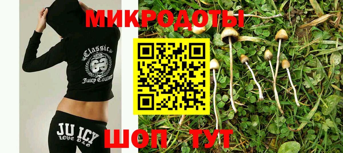 Галлюциногенные грибы Magic Shrooms  Галлюциногенные грибы Psilocybine cubensis  Вход с VPN  Верхний Уфалей 